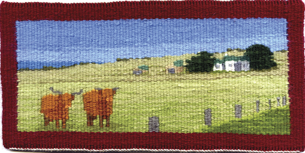 Hopkins point